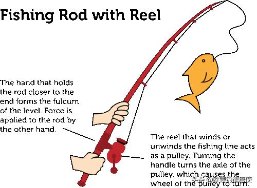 欧鲤钓鱼竿杆包,欧鲤钓竿的选择