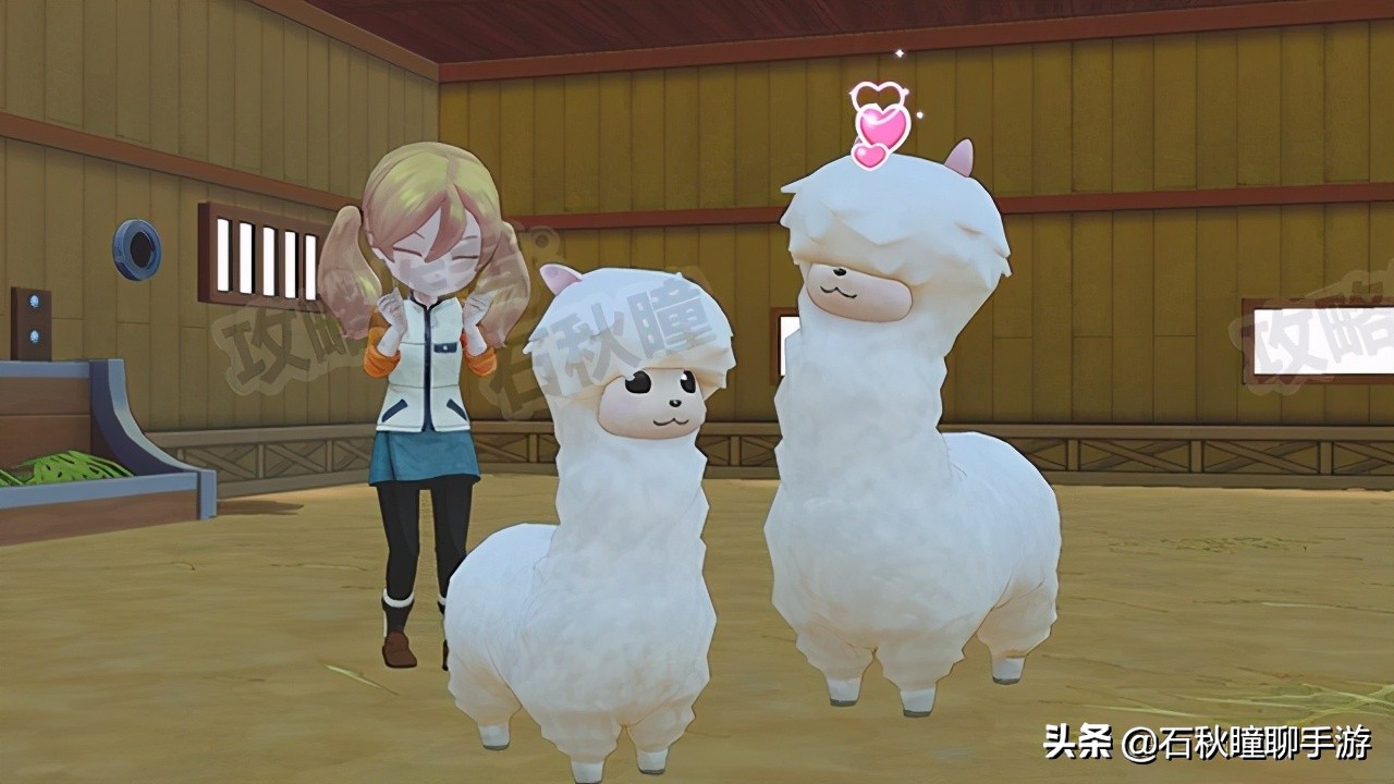 牧场物语橄榄镇种什么赚钱,牧场物语橄榄镇刚开始怎么赚钱