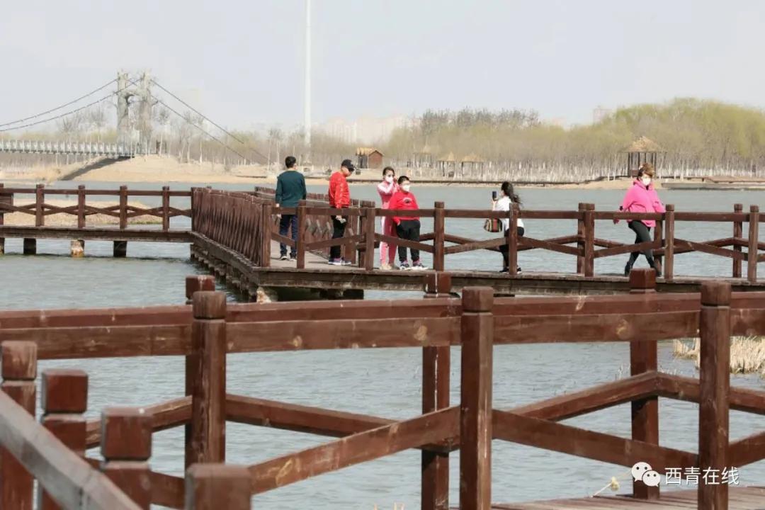 准备好了吗?亮码踏青,125座公园任你游!