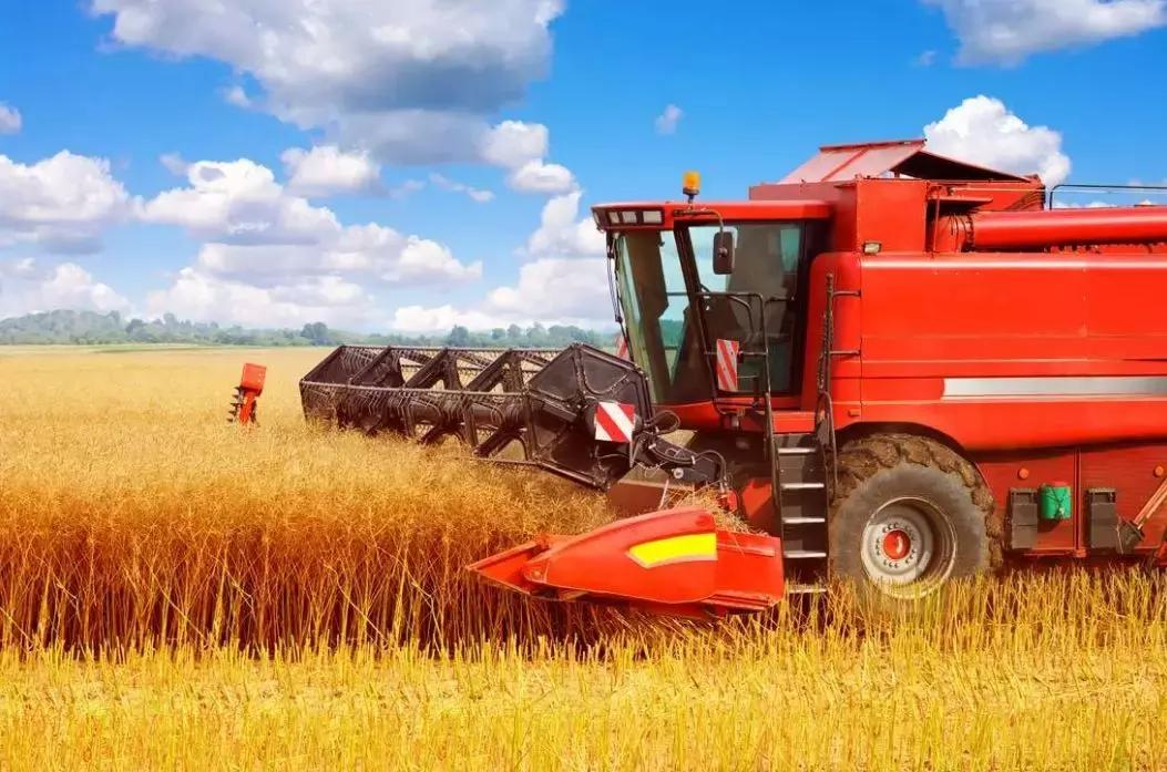 农村创业项目好不好做呀,农村创业不知做啥好