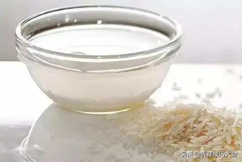 绿萝的叶片不够亮？浇水加点它，两周就能恢复