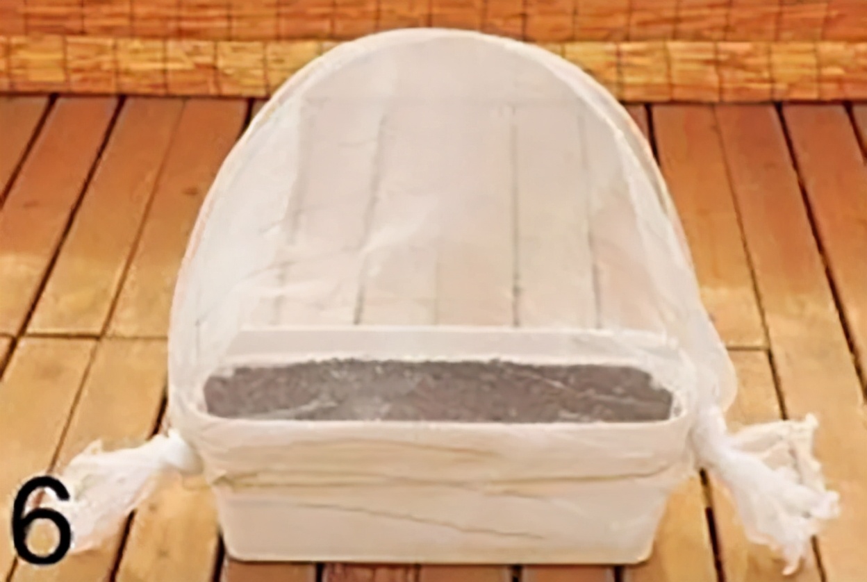 避蚜虫的防虫网,种菜防虫网能防蚜虫吗