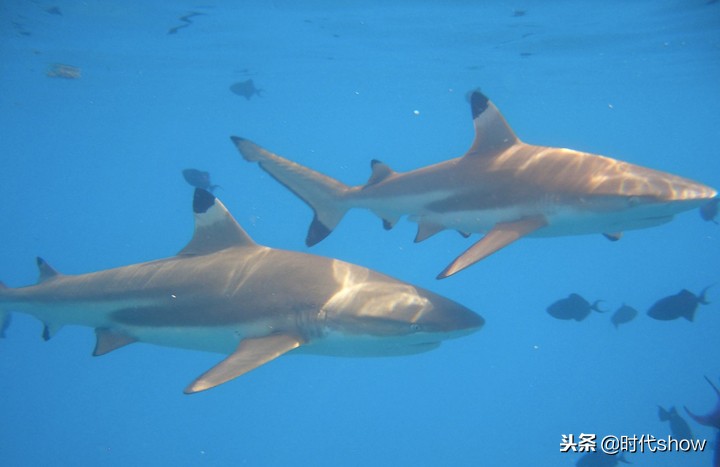 大溪地豪华岛屿旅游,时代show杭州建国北路
