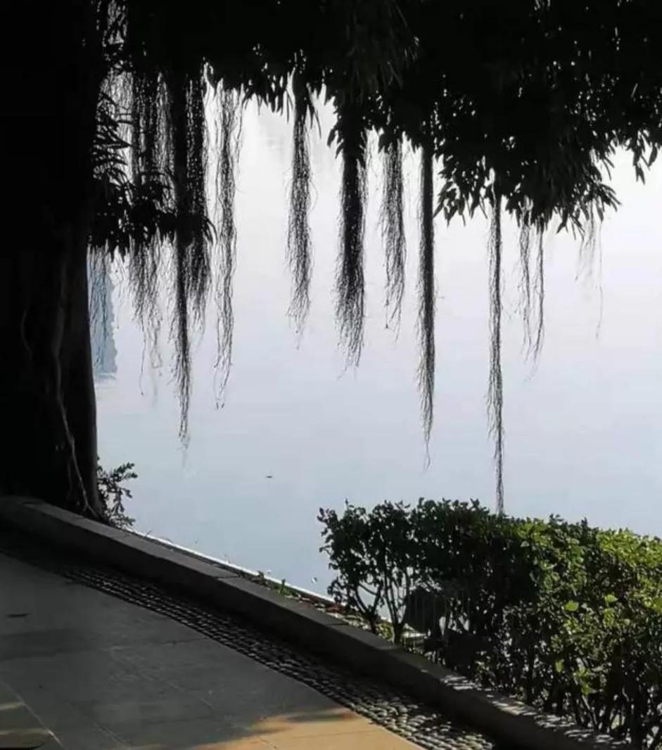 让脚丫干燥的办法,怎么保持脚丫干爽