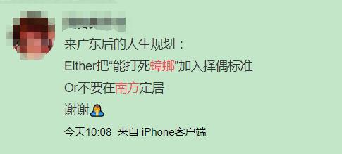 巨型蟑螂南方大蟑螂,广东巨型蟑螂和北方蟑螂对话