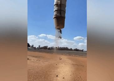 澳大利亚鼠灾事件视频,澳大利亚鼠灾真实事件