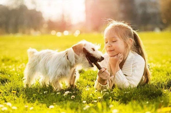 与狗相处的注意事项,与狗玩耍的忌讳