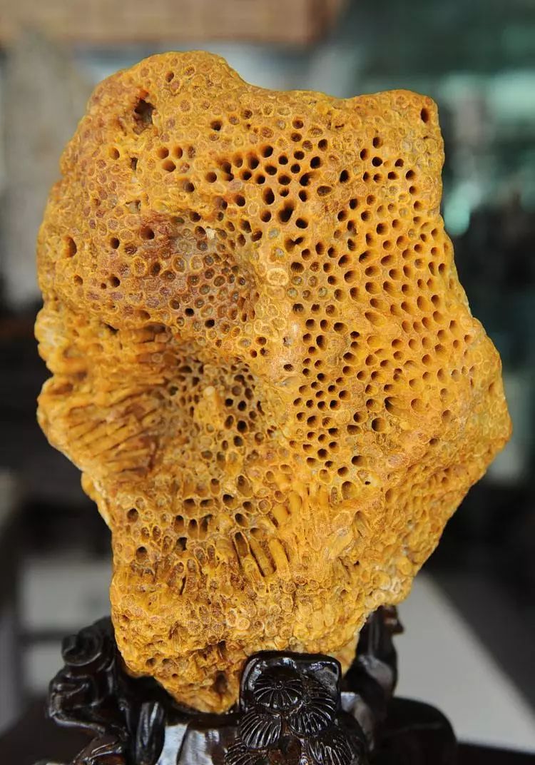 各类玉石的鉴别图片,十大不值钱的水晶玉石品种