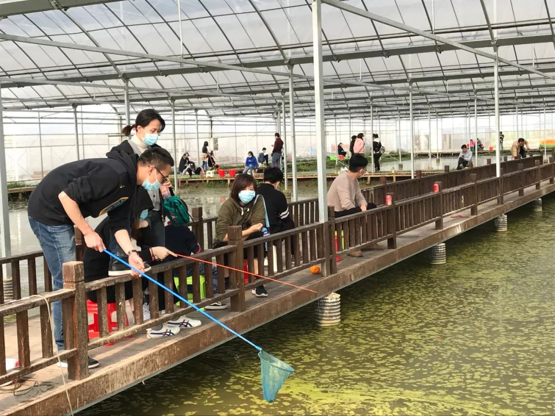 龙虾爱好者集合,虾场钓龙虾的方法和技巧