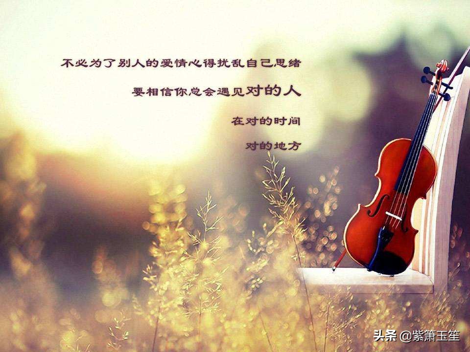 中年人的爱情感悟,中年人爱情感悟句子