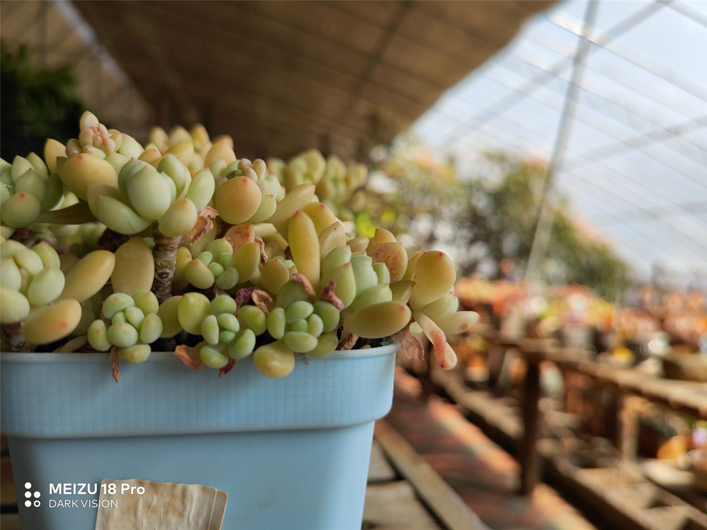 魅族18和魅族18pro买哪个好,魅族18s18pro与18x区别