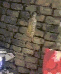 捡到了u盘里面会有什么,捡到一个u盘还好没有用