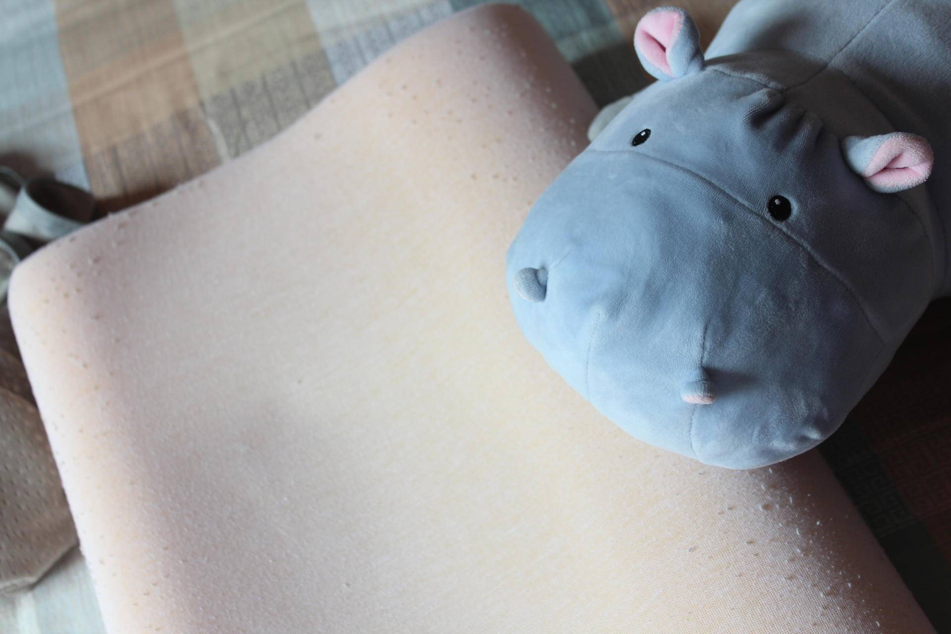 想要一个好梦,想要一个超好用的枕头