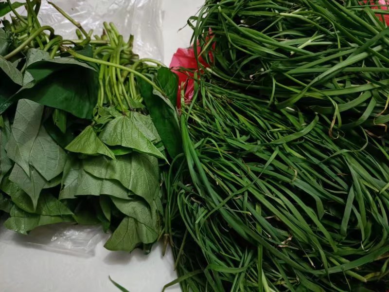 骑行小虹螺山,骑行小海坨山