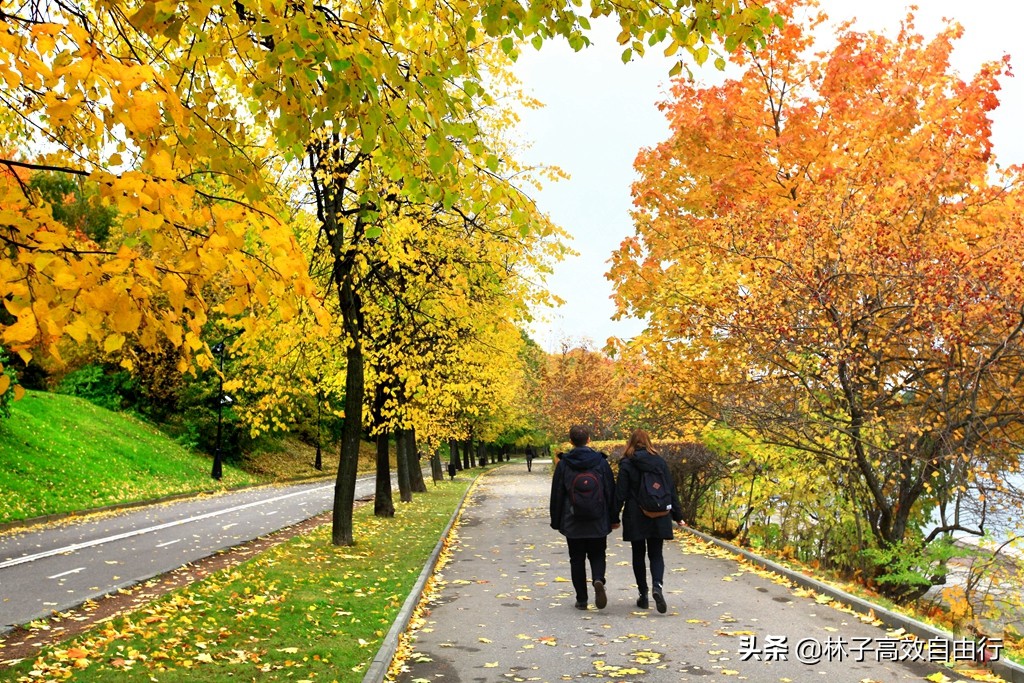 一个在俄罗斯自由行20天的游客告诉你：圣彼得堡为什么迷人