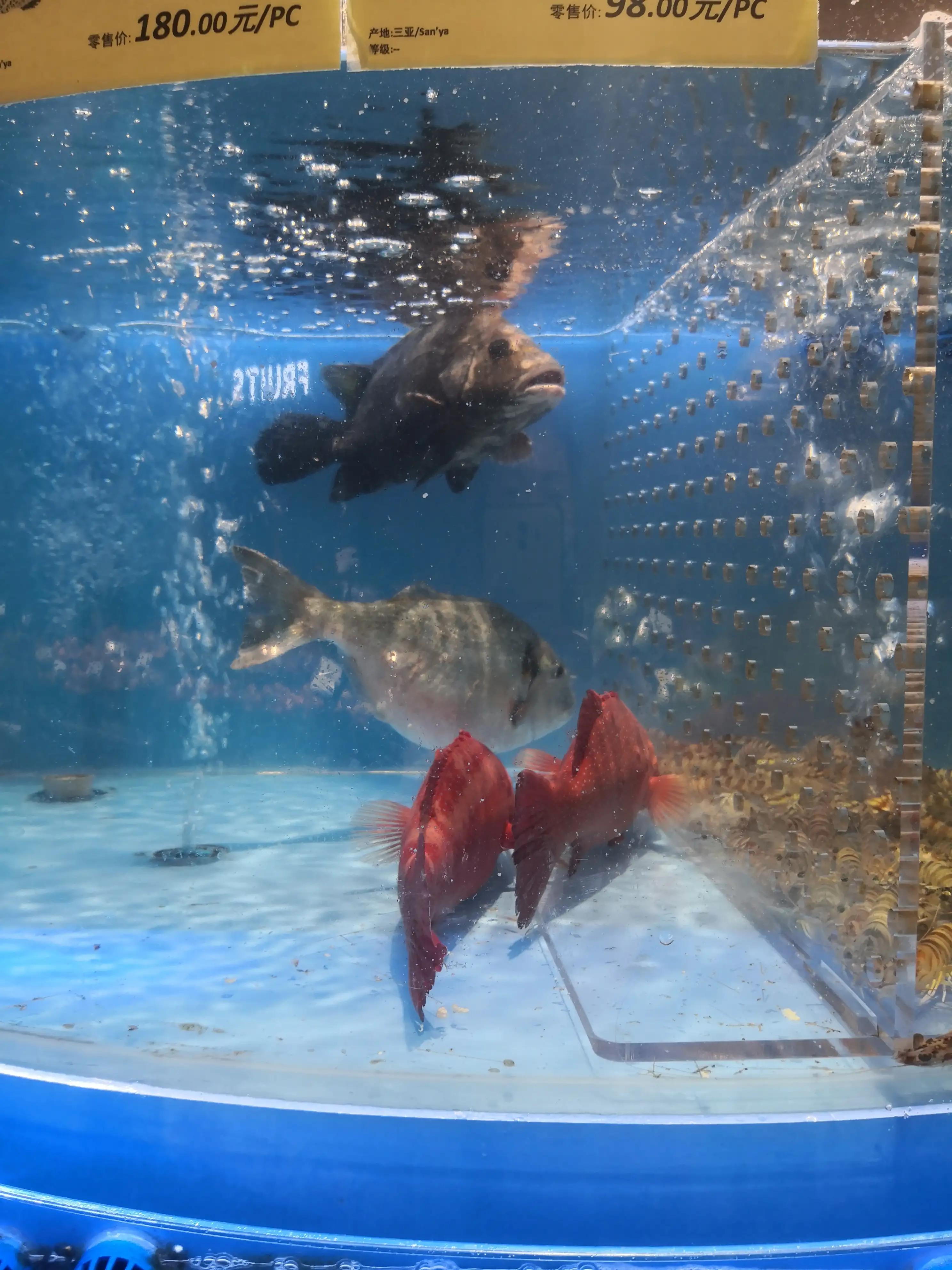 上海十大顶级奢侈品商场排名,上海最顶级的商场