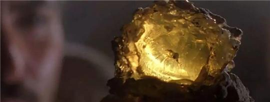 马斯克15年内培育出恐龙,埃隆马斯克复活恐龙计划