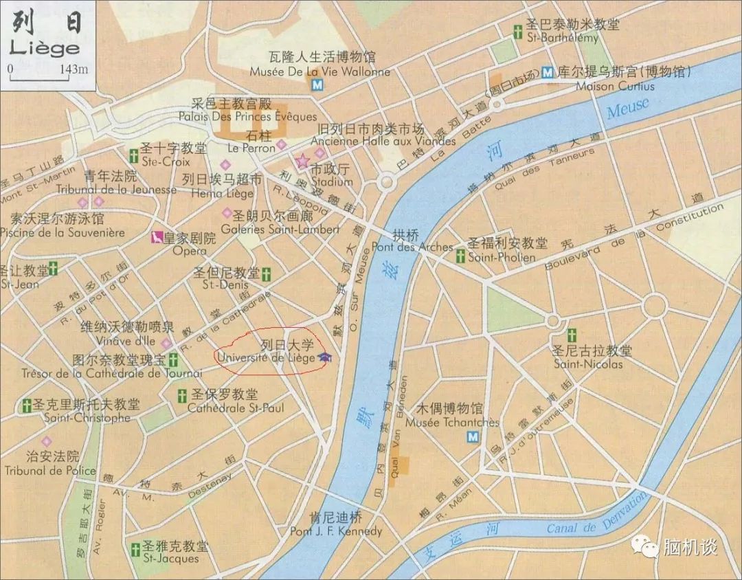 ​《脑机往事（3）—维达尔的秘密》