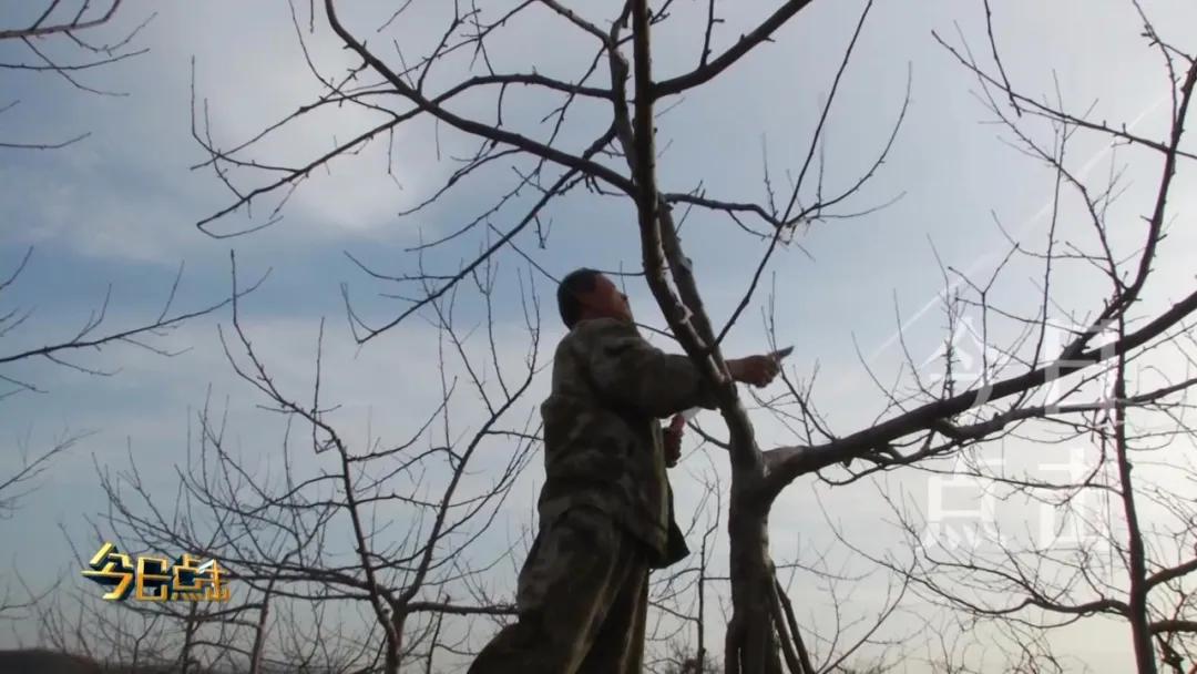 铜川印台脱贫攻坚,铜川印台区脱贫户