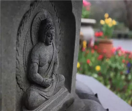 来杭州不知道做什么,来杭州不去哪里遗憾