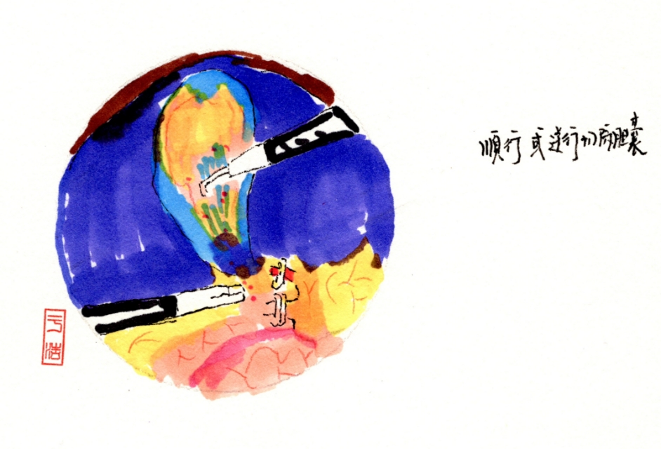 舍利子是什么意思,舍利子背后的故事