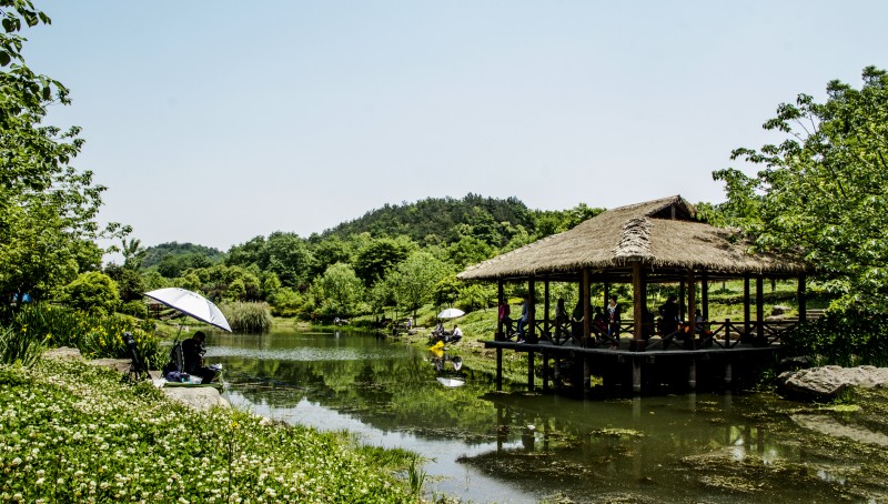 良渚文化村值得投资吗,良渚文化村还有新楼盘吗