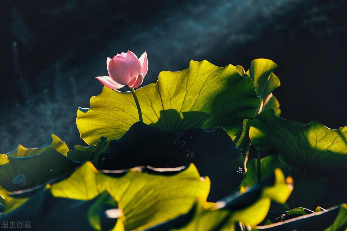 微妙无比——我曾与“玫琳凯”二度撞个满怀，便再也不想见