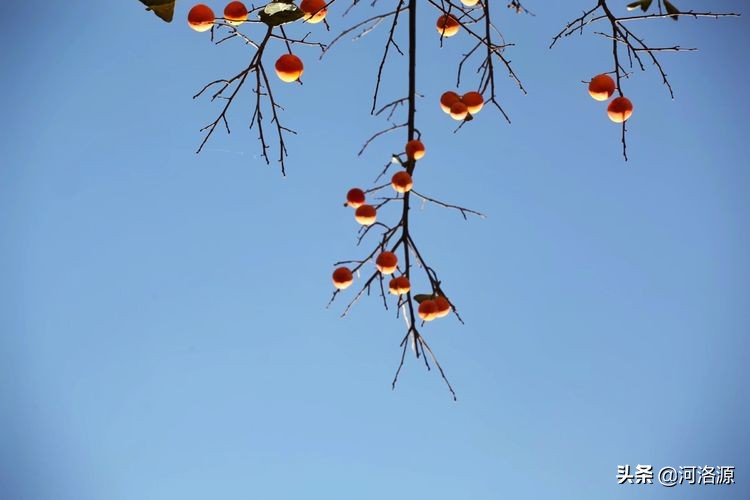 巩义最美乡村,巩义最美乡村游玩好去处