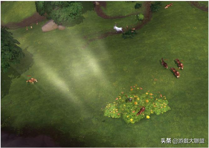 魔兽世界蜜蜂坐骑采蜜蜂路线,魔兽世界蜜蜂坐骑采蜜技巧