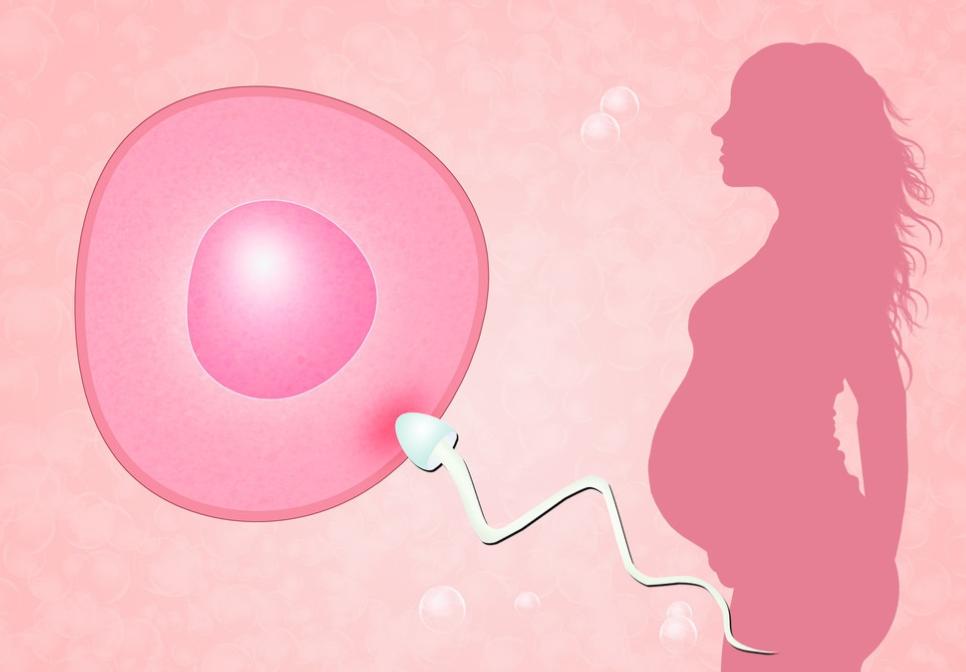 一般女生的排卵期在什么时候出现,女生到排卵期有什么表现