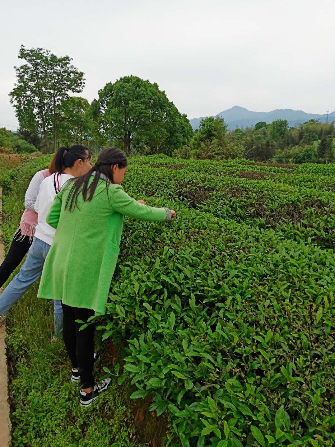 长沙周边农家乐一日游推荐第一名,长沙农家乐好玩的地方推荐一日游