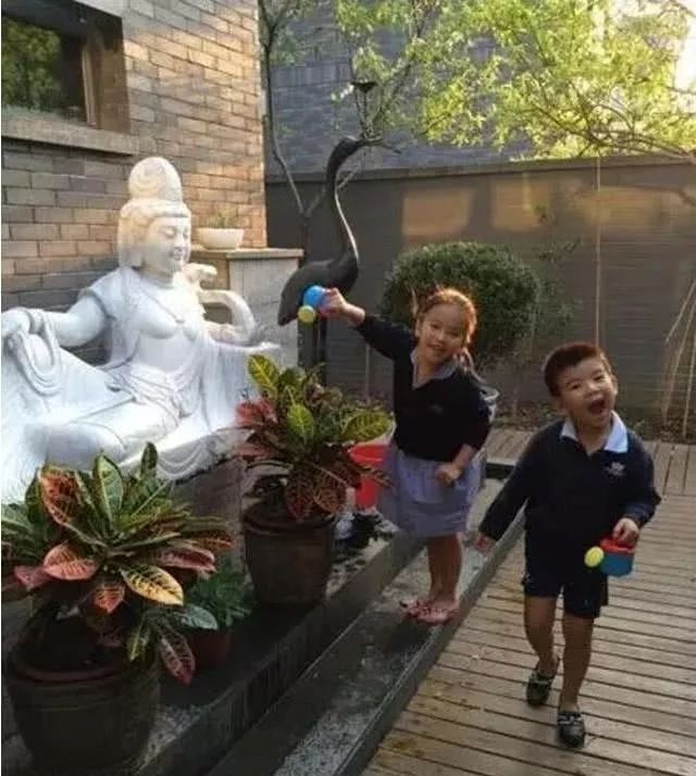 刘涛代言斯帝罗兰,刘涛家电代言