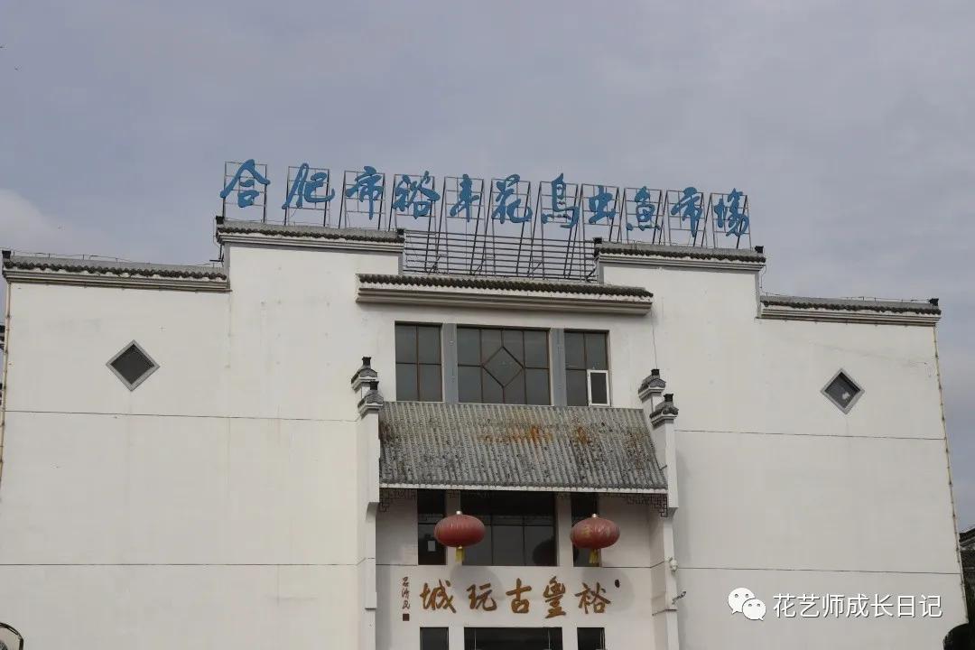 <html>
<head><title>502BadGateway</title></head>
<body>
<center><h1>502BadGateway</h1></center>
<hr><center>nginx</center>
</body>
</html>
<!--apaddingtodisableMSIEandChromefriendlyerrorpage-->
<!--apaddingtodisableMSIEandChromefriendlyerrorpage-->
<!--apaddingtodisableMSIEandChromefriendlyerrorpage-->
<!--apaddingtodisableMSIEandChromefriendlyerrorpage-->
<!--apaddingtodisableMSIEandChromefriendlyerrorpage-->
<!--apaddingtodisableMSIEandChromefriendlyerrorpage-->
