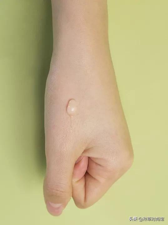 12系列测评对比,12款妆前测评