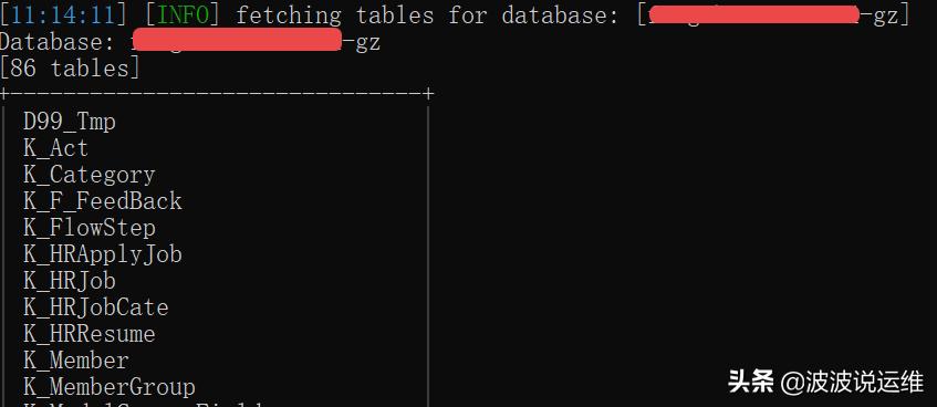 web渗透测试工具包含sqlmap吗,什么情况下能使用sqlmap进行渗透