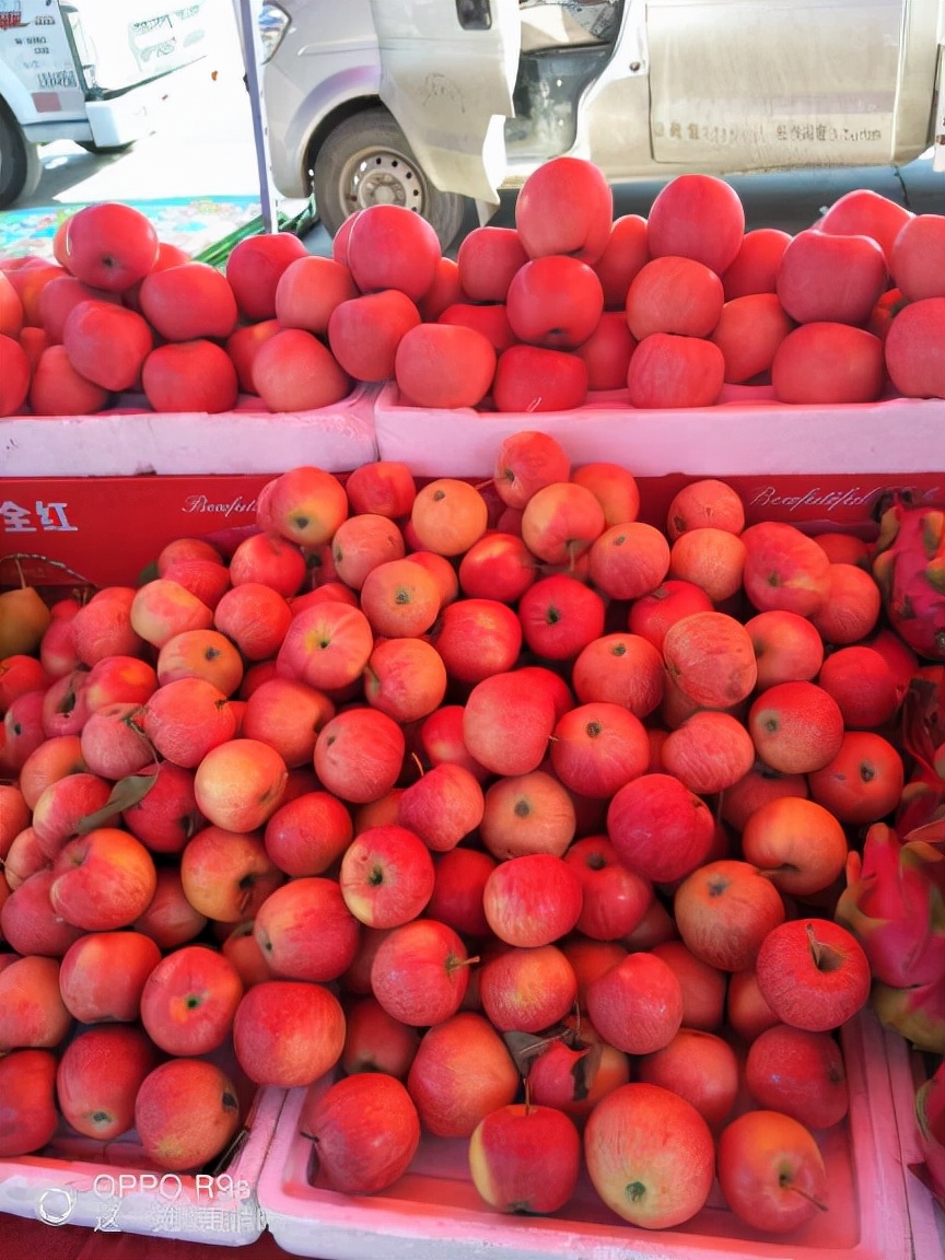 四川姑娘在新疆的生活日常,四川姑娘在南疆记录美好生活