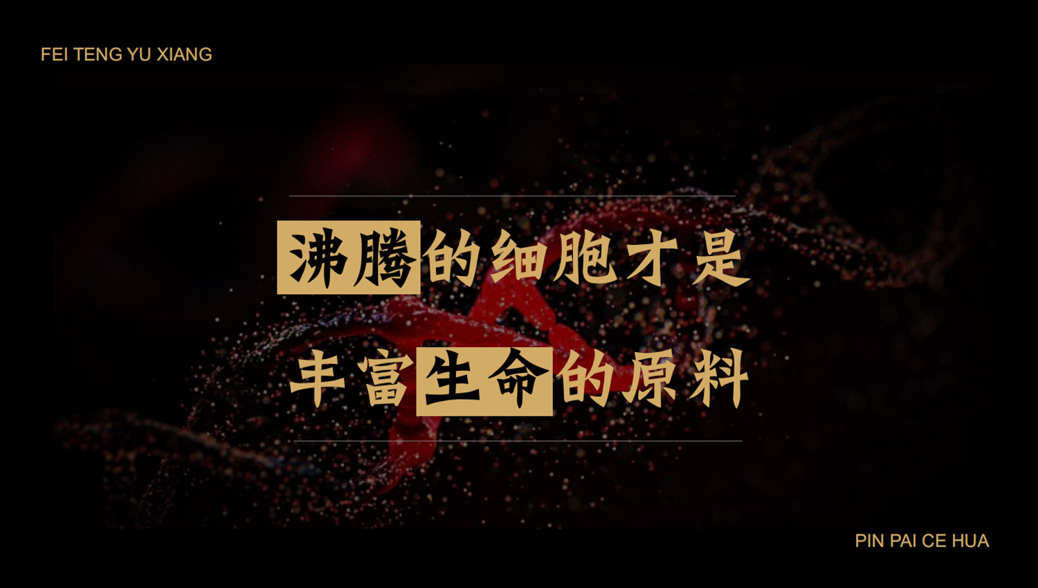 加拿大品牌，沸腾鱼乡品牌策划设计纪实｜花万里餐饮设计