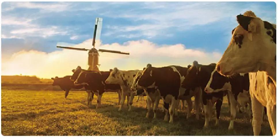 问题海淘奶粉,海淘奶粉不好吗