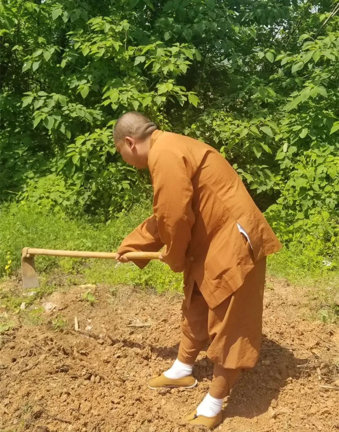 抢抓农时开展农业生产,农民纷纷抢抓春耕生产有利时机