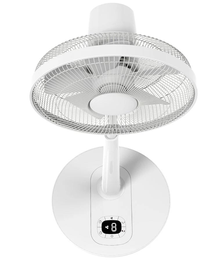 夏天的续命神器,最好用的夏天续命神器