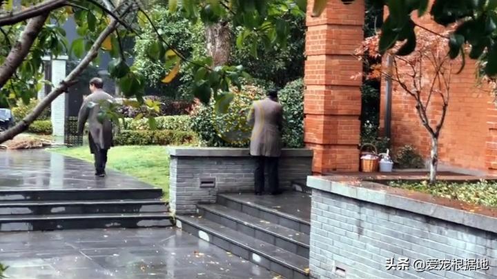 同伴被困空房子,流浪猫向人类求助,获救后它竟主动让出食物