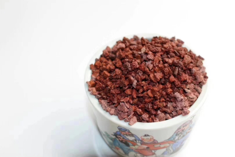 多肉植物能不能晒太阳和浇水,多肉植物太阳不直晒颜色就长不好