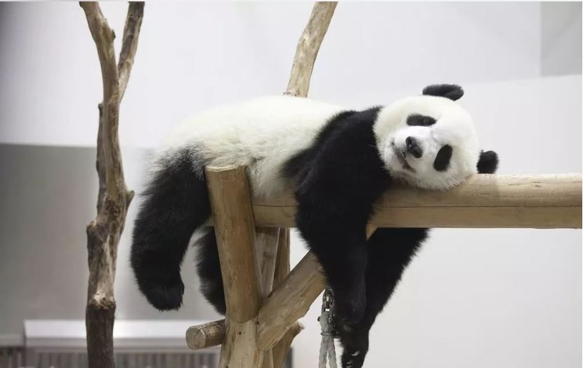 中国门票最贵的十大景区,中国最亏钱景点