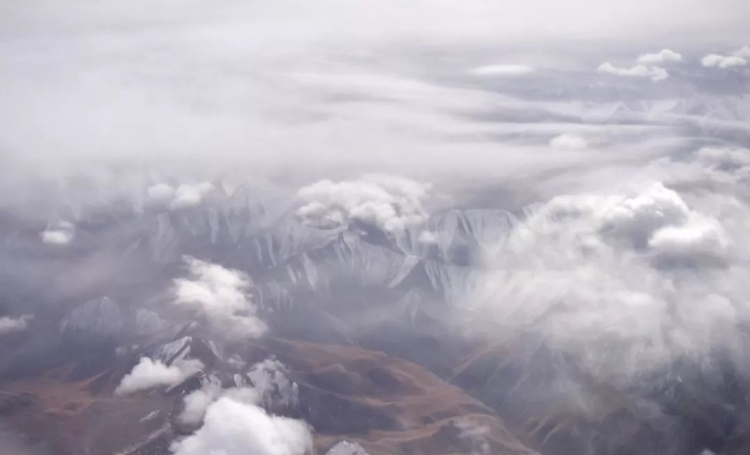 新疆炫富方式是什么,新疆喀什好种的花