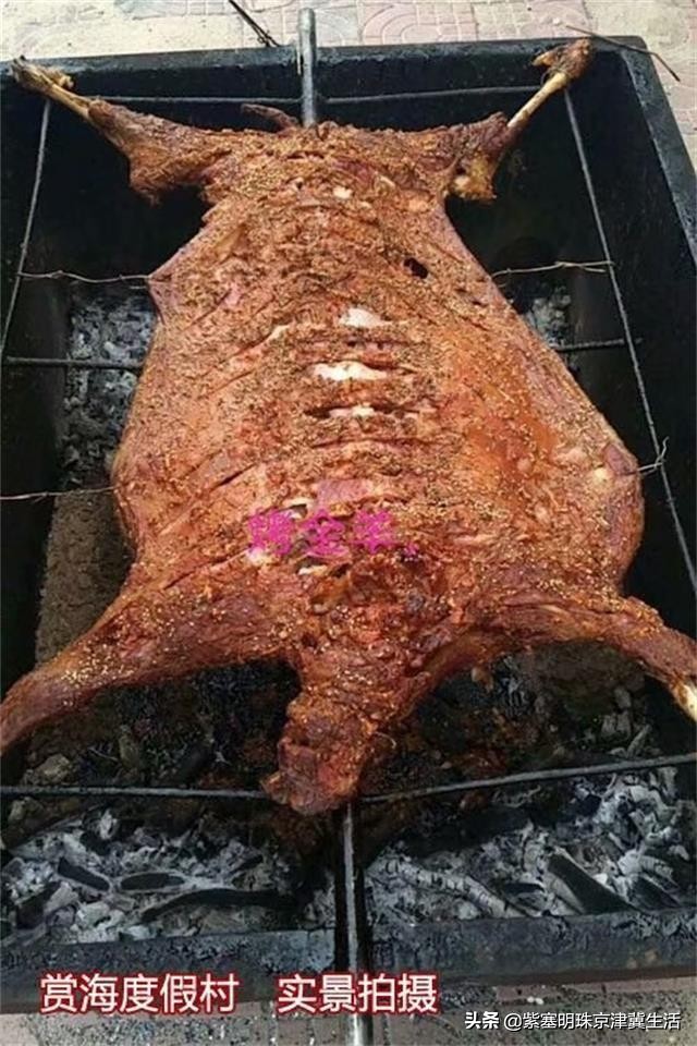 辽宁东戴河景点排行榜,辽宁绥中东戴河风景区