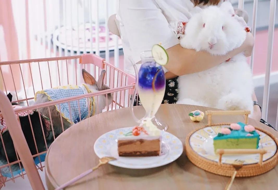 兔子馆三里屯,深圳三里屯兔子馆