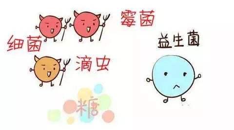 孕妇治妇科炎症有哪些药,孕妇妇科炎症用什么洗液