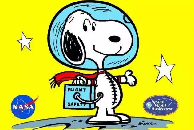 中科院卖猫椅科技变身网红并不是坏事