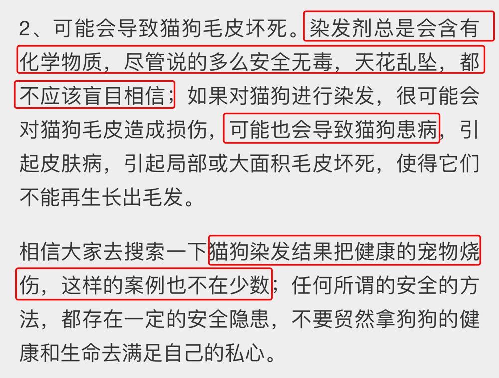 网友爆料女生遭多人虐待,11岁女孩虐待狗狗事件介绍