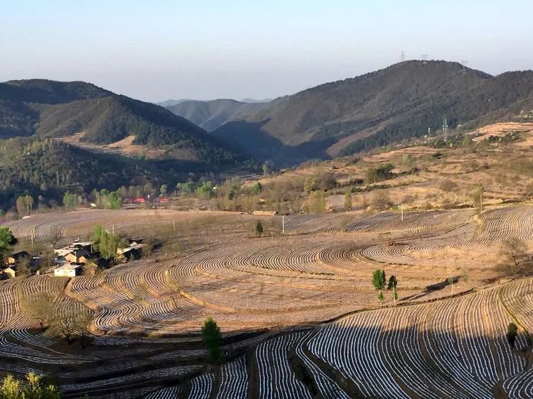 被称为上帝的指纹的图形,上帝的指纹景区